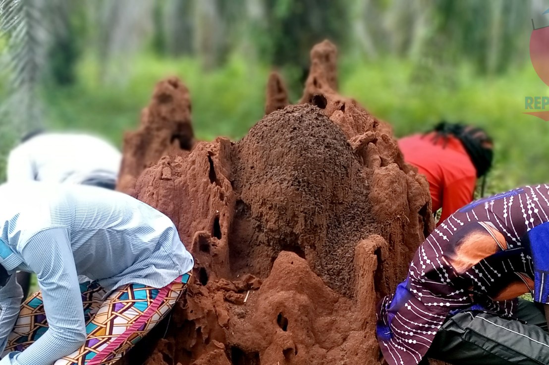 Les Activités du projet&nbsp;LAC